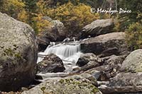 Upper Copeland Falls on St. Vrain Creek, Ouzel Falls Trail, Rocky Mountain National Park, CO