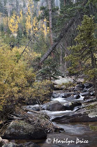 St. Vrain Creek, Ouzel Falls Trail, Rocky Mountain National Park, CO