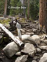 Ouzel Falls, Ouzel Falls Trail, Rocky Mountain National Park, CO