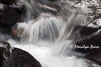 Calypso Cascades detail, Ouzel Falls Trail, Rocky Mountain National Park, CO