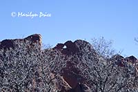 Kissing Camels, Garden of the Gods Park, Colorado Springs, CO