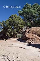 On the Scotsman's trail, Garden of the Gods Park, Colorado Springs, CO