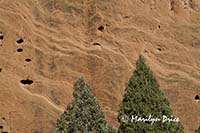 Ripples in the sandstone, Garden of the Gods Park, Colorado Springs, CO