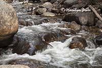 Cascades, North Boulder Creek, Caribou Ranch Open Space, CO