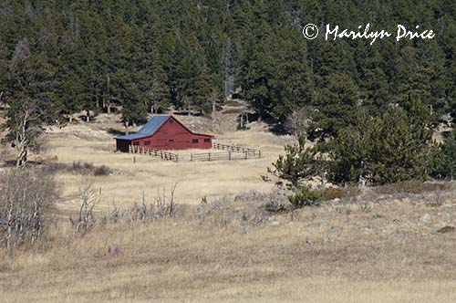 Barn, DeLonde Homestead, Caribou Ranch Open Space, CO