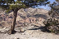 View from top of Dinosaur Ridge, Dinosaur Ridge Trail, Denver, CO