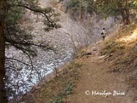 Marilyn on the Royal Arch Trail, Boulder, CO