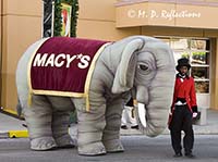 'Elephant' and his trainier demonstrate the Hokey-Pokey, Macy's Parade, Universal Studios, Orlando, FL