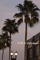 Palm trees and street lights, Universal Studios, Orlando, FL