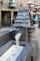 'Frozen' water trough, Hogsmeade, Harry Potter section of Universal's Islands of Adventure, FL