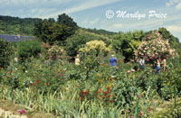 Monet's Garden, Giverny, France