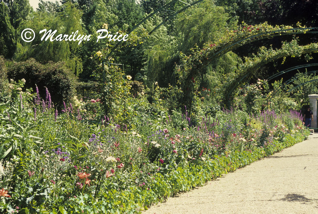 A path through Monet's Garden, Giverny, France