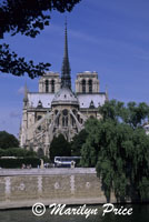 Rear facade, Cathedral of Notre Dame de Paris, Paris, France