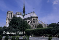 Rear facade, Cathedral of Notre Dame de Paris, Paris, France