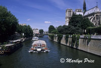 Tourist boat on the River Seine and the rear facade of the Cathedral of Notre Dame de Paris, Paris, France