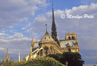 Early morning light on the rear facade of the Cathedral of Notre Dame de Paris, Paris, France