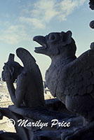 Gargoyles, Gargoyle Gallery of the Cathedral of Notre Dame de Paris, Paris, France