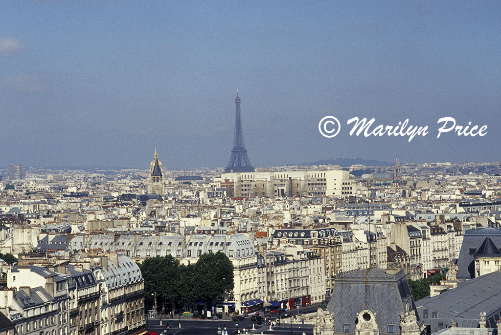 Paris, including the Eiffel Tower, from the Gargoyle Gallery of the Cathedral of Notre Dame de Paris, Paris, France