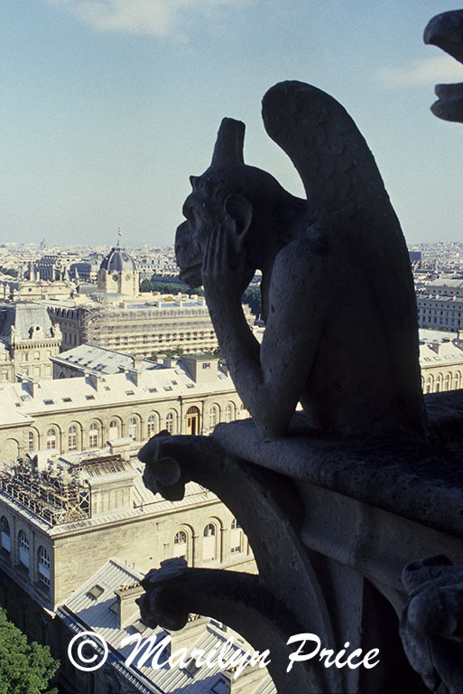 Gargoyle ponders the city, Gargoyle Gallery of the Cathedral of Notre Dame de Paris, Paris, France