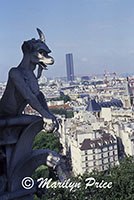 Gargoyle overlooks the streets of Paris, Gargoyle Gallery of the Cathedral of Notre Dame de Paris, Paris, France