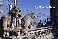 Gargoyles and tourists, Gargoyle Gallery of the Cathedral of Notre Dame de Paris, Paris, France