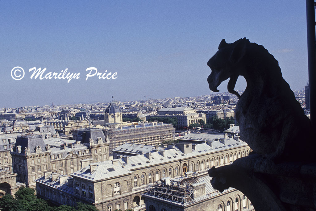 Gargoyle overlooks the streets of Paris, Gargoyle Gallery of the Cathedral of Notre Dame de Paris, Paris, France