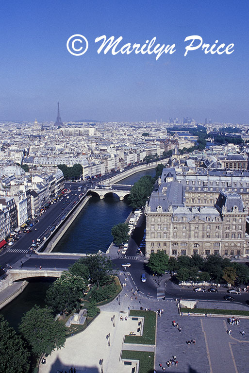 Seine and Eiffel Tower from one of the towers of the Cathedral of Notre Dame de Paris, Paris, France