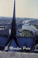 Seine and the top of Notre Dame from one of the towers of the Cathedral of Notre Dame de Paris, Paris, France