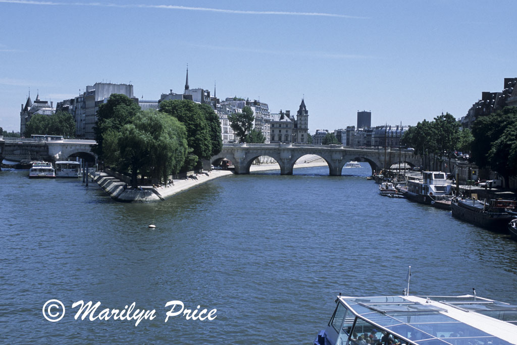 The Seine splits for Ile de la Citie, Paris, France