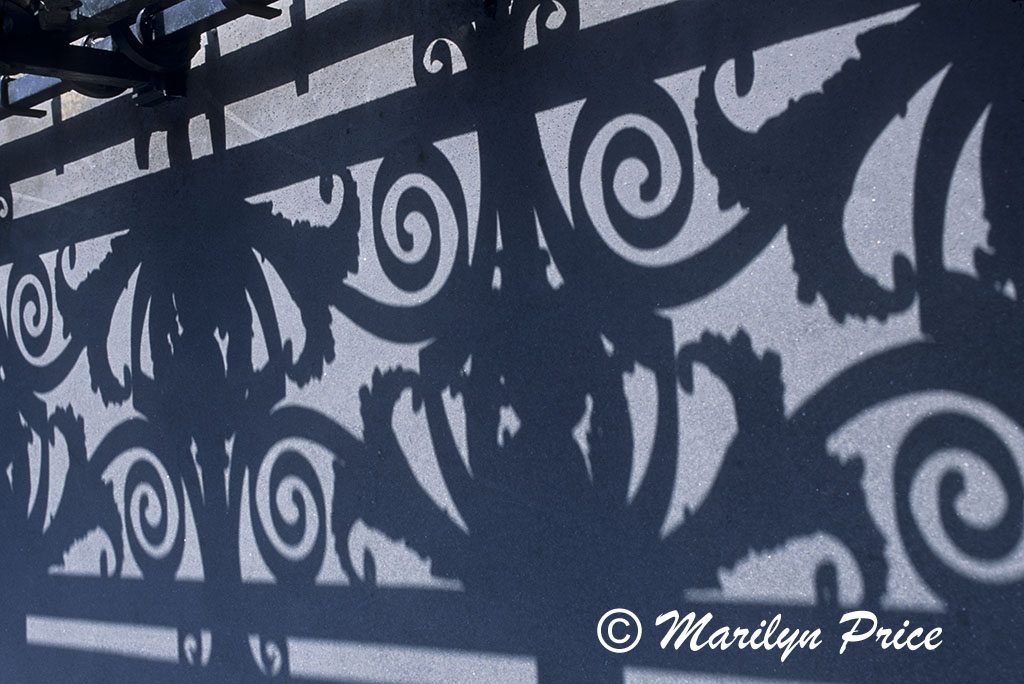 Railing shadows on a bridge, Paris, France