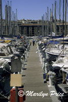 Vieux Port, Marsailles, France