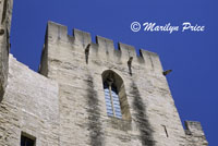 Gargoyles at the Palais des Papes, Avignon, France