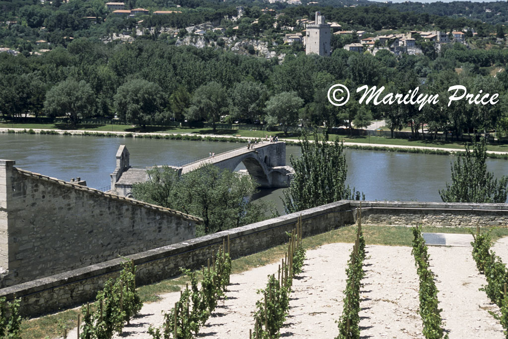 Remains of the 'Pont d'Avignon', Avignon, France