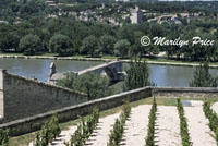 Remains of the 'Pont d'Avignon', Avignon, France