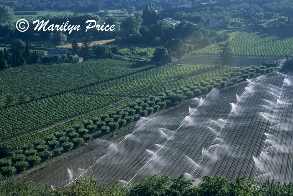 Irrigation in the fields near Menerbes, France