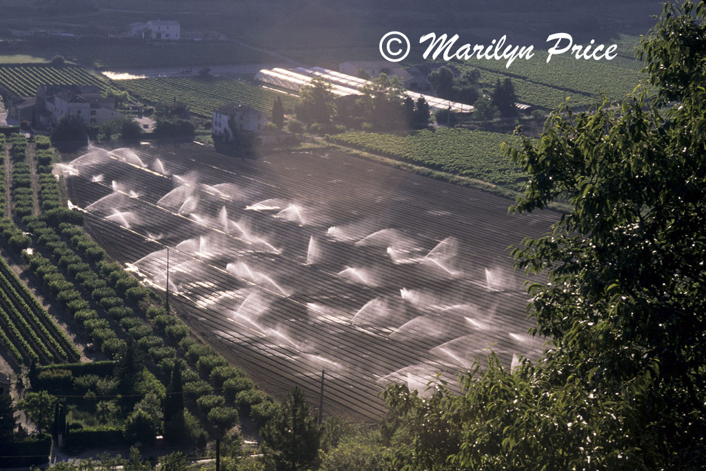 Irrigation in the fields near Menerbes, France