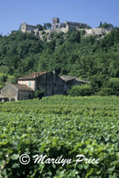 Menerbes and vineyard, Menerbes, France