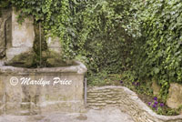 Fountain, flower bed, and vine covered wall, Menerbes, France