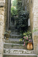 Stairway leading to a house entrance, Menerbes, France