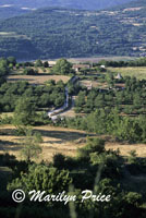 Countryside near Saignon, France