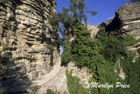 Stairs leading to a ruined castle, Saignon, France