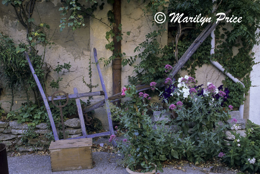 A garden in Saignon, France