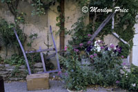 A garden in Saignon, France