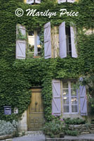 Vine covered wall with shutters, Saignon, France