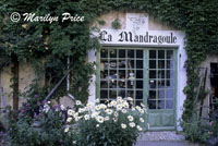 Front of a store in Saignon, France