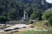 Roman ruins of Glanum, near St. Remy de Provence, France