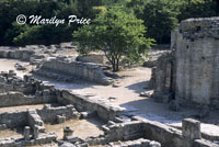 Roman ruins of Glanum, near St. Remy de Provence, France