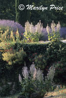 Garden in a park, Oppede la Vieux, France