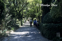 Maisson de Sainte St. Paul, St. Remy de Provence, France