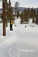 Carl admires the view from a snowshoe path through the trees, Frisco Nordic Center, Frisco, CO